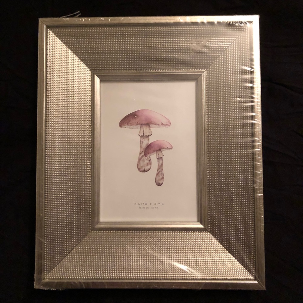 Zara home frame